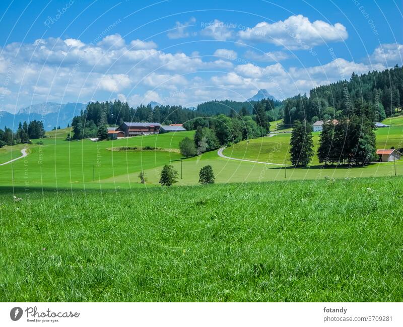 bayerisches-voralpenland-im-sommer-landschaft-photocase-stock-fotol
